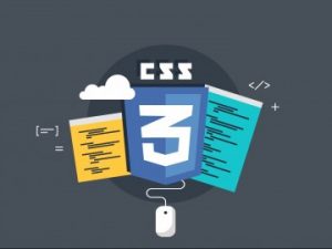 bases del Css