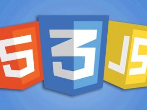 Desarrollo Web HTML CSS JavaScript